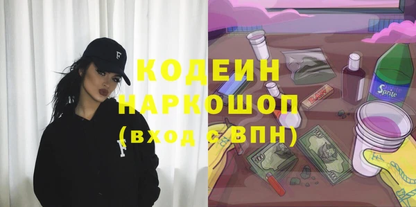 сатива Лабытнанги
