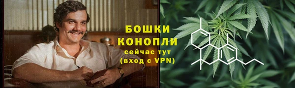 сатива Лабытнанги