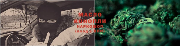 сатива Лабытнанги