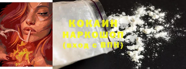 сатива Лабытнанги