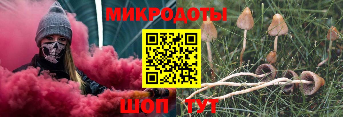Галлюциногенные грибы Psilocybine cubensis  Псилоцибиновые грибы мухоморы  Южноуральск  Вход с VPN 