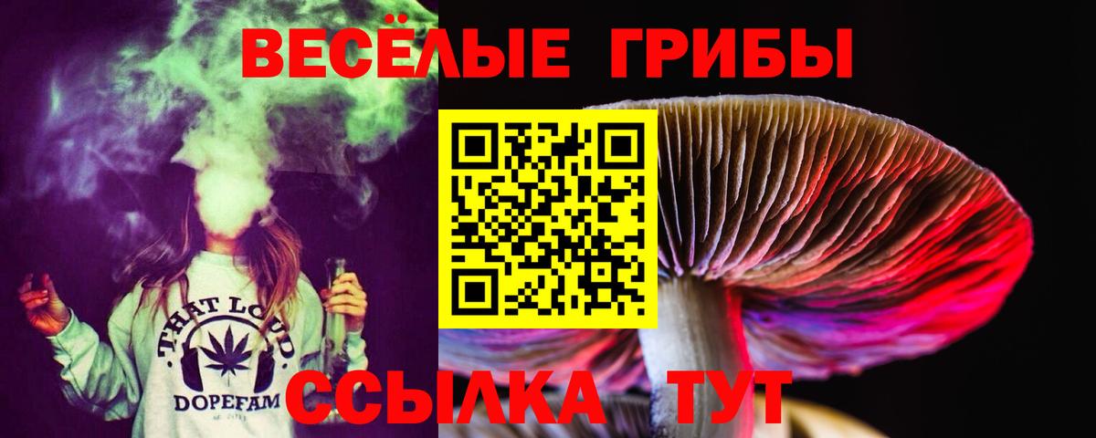 Псилоцибиновые грибы прущие грибы Южноуральск
