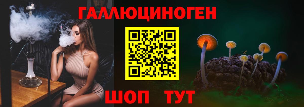 купить   Южноуральск  Галлюциногенные грибы Magic Shrooms  Галлюциногенные грибы Cubensis 