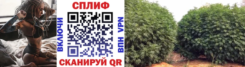 Шишки марихуана Bruce Banner  Южноуральск 